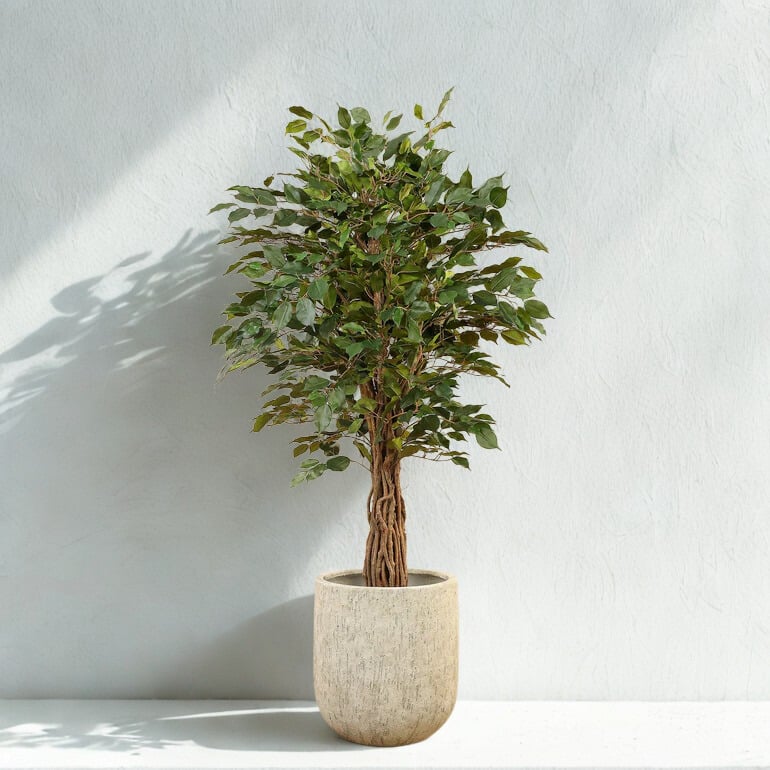 ARTIFICIAL FICUS TREE 180CM