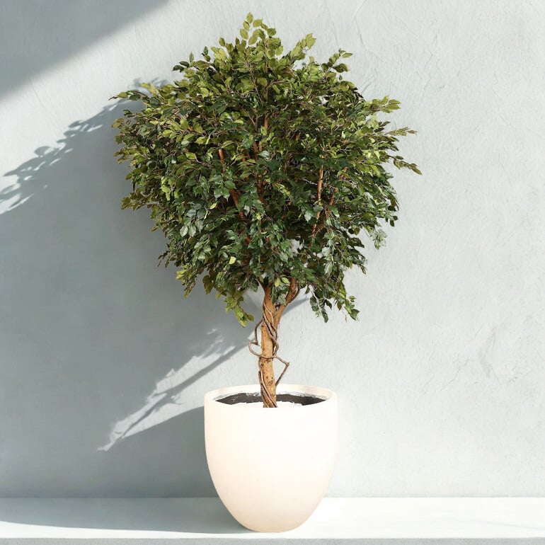 ARTIFICIAL FICUS TREE 300CM