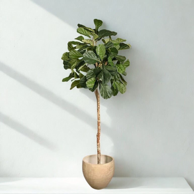 ARTIFICIAL FIDDLE LEAF TREE 180CM