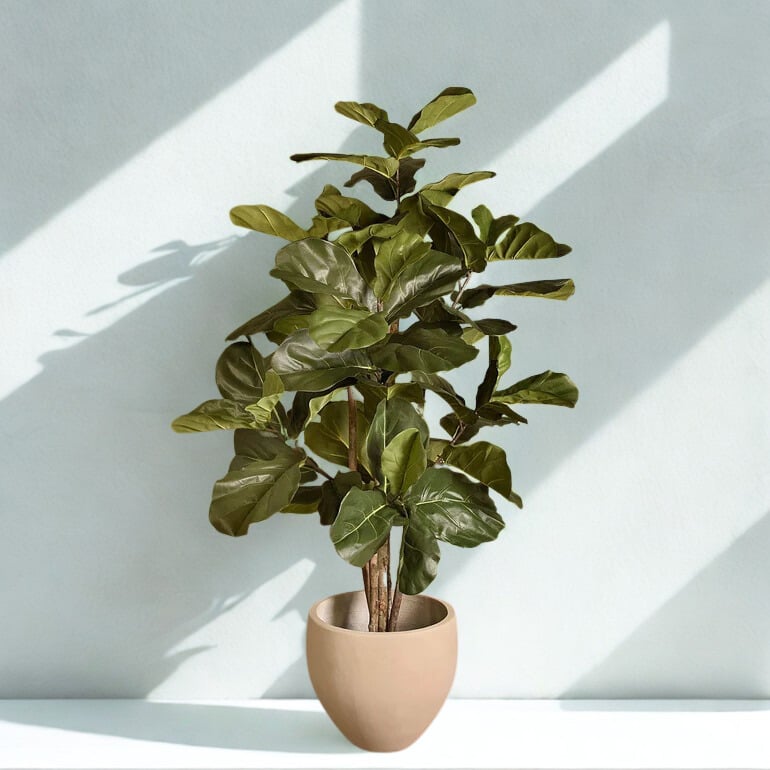 ARTIFICIAL FIDDLE TREE 135CM
