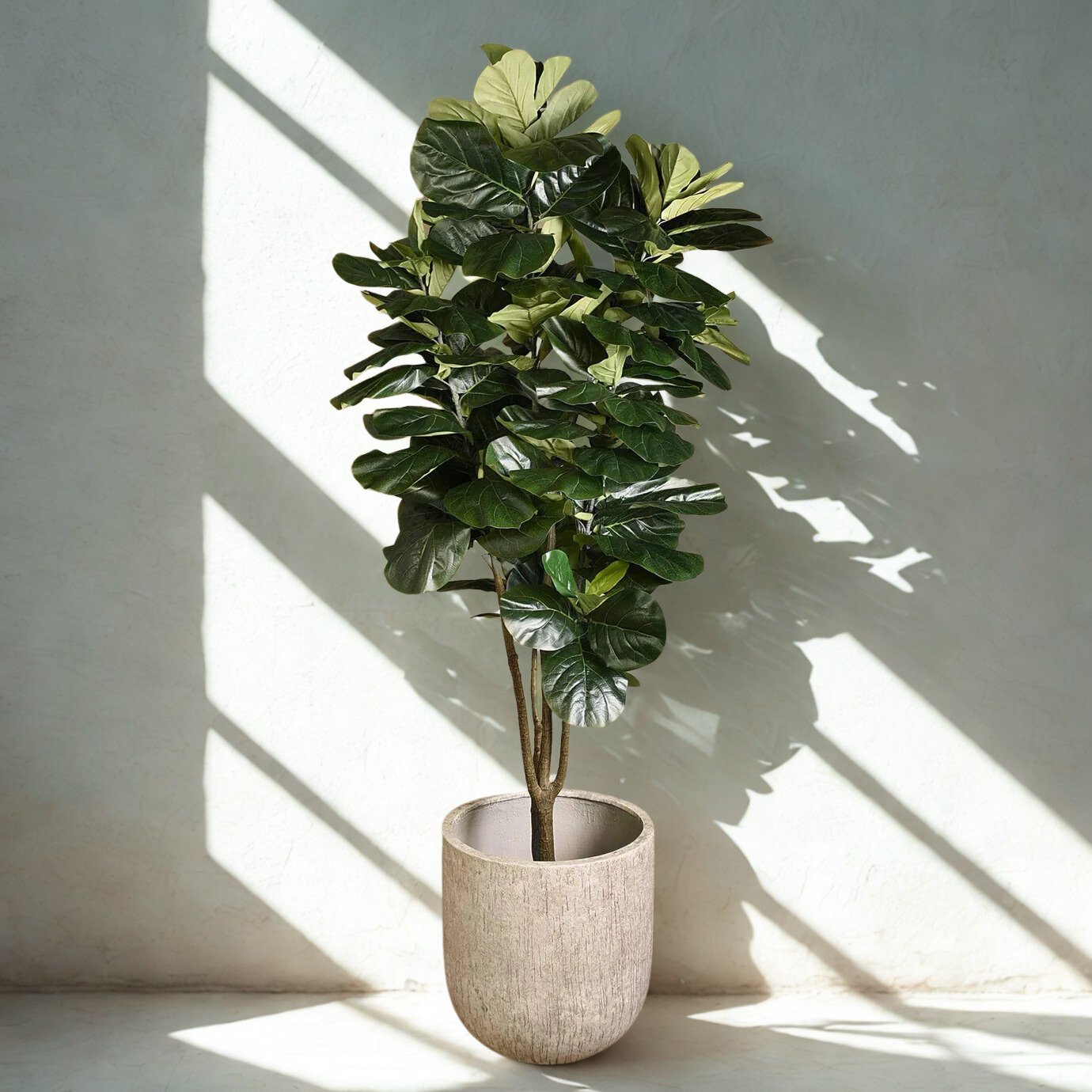 ARTIFICIAL FIDDLE TREE 240CM