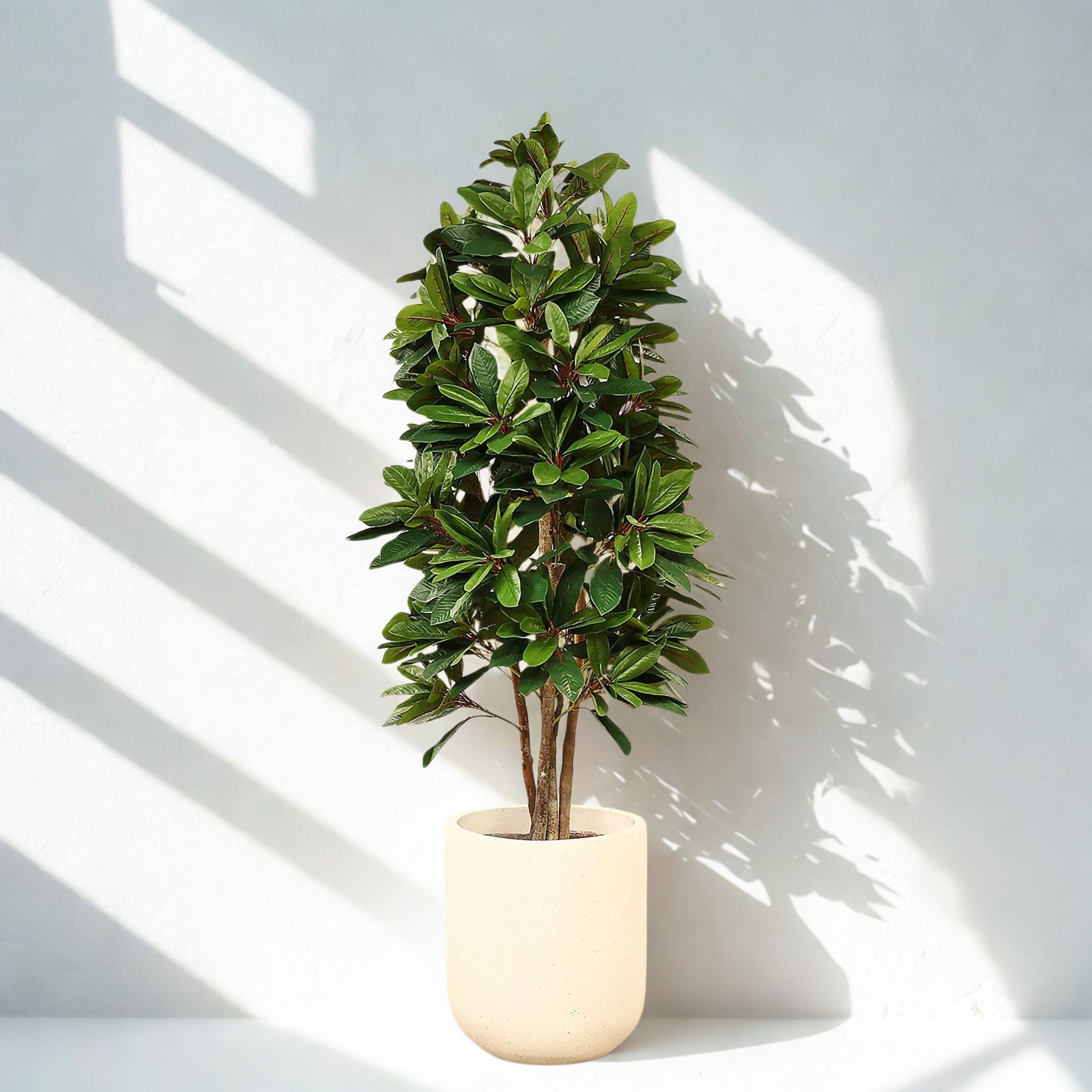 ARTIFICIAL LADY SCHEFFLERA TREE 150CM