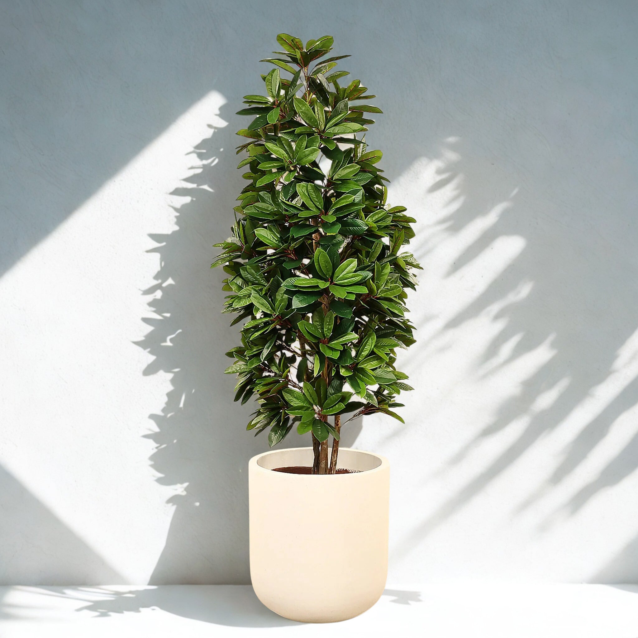 ARTIFICIAL LADY SCHEFFLERA TREE 180CM