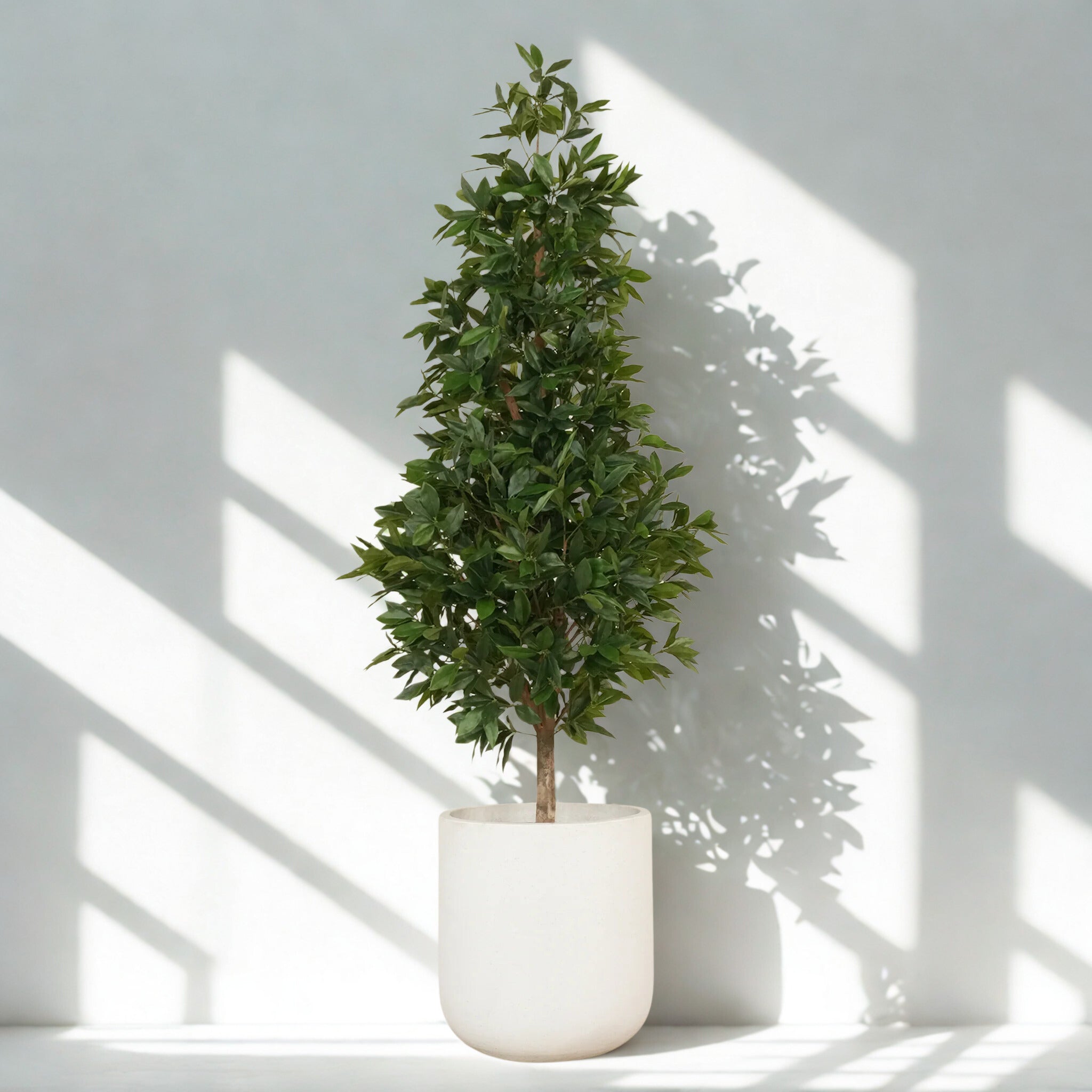 ARTIFICIAL LAUREL TREE 180CM