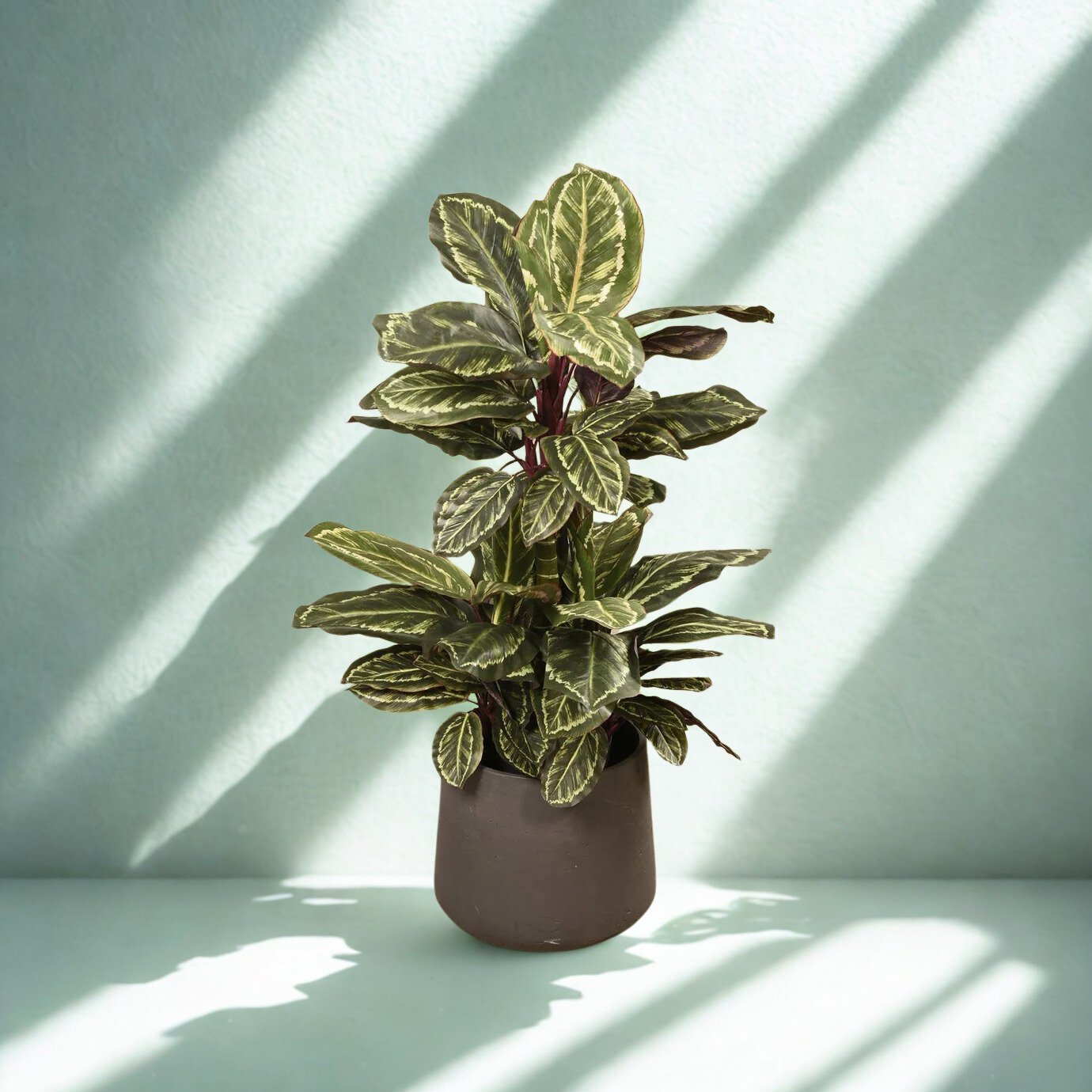 ARTIFICIAL MARANTA PLANT 110CM