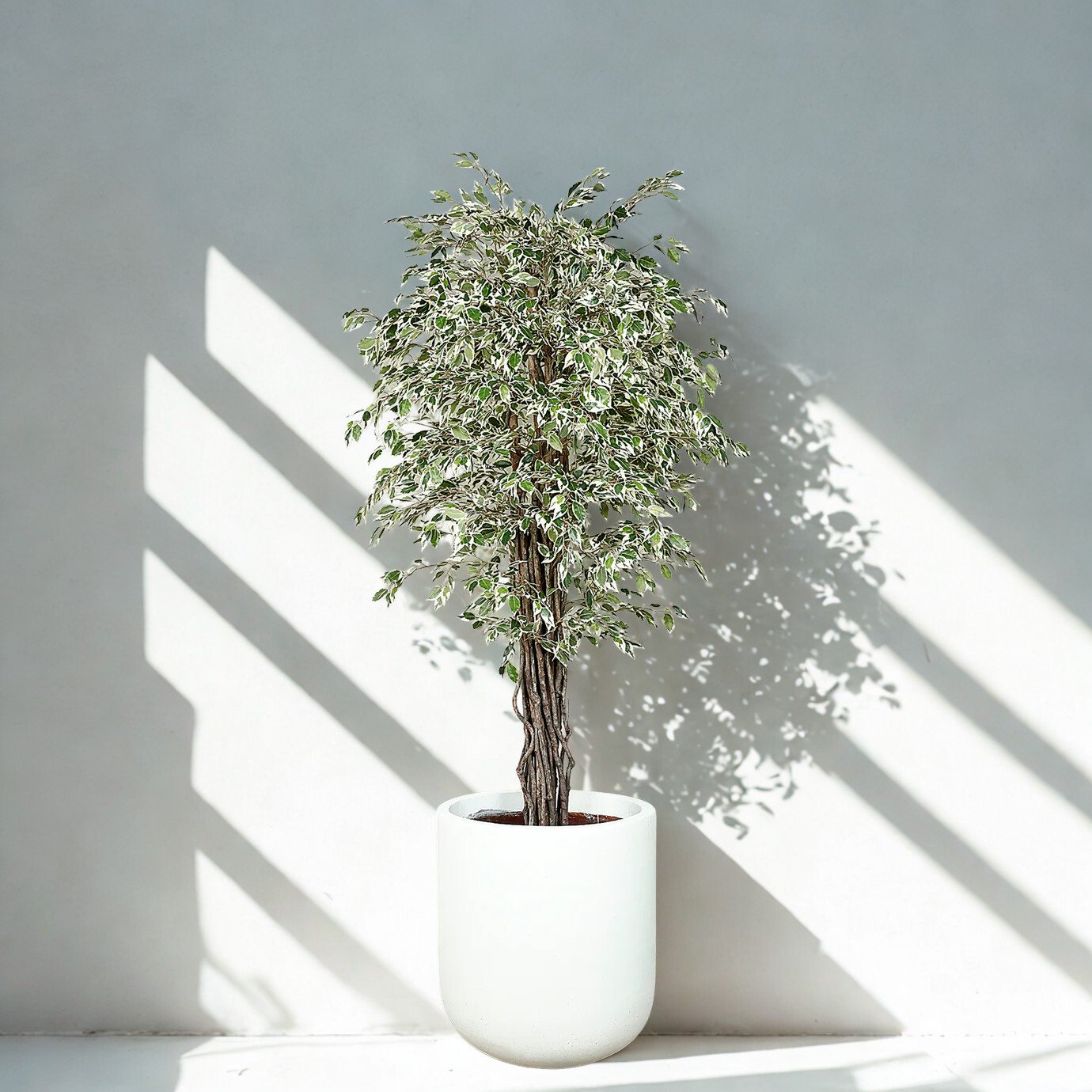 ARTIFICIAL MINI FICUS TREE 180CM