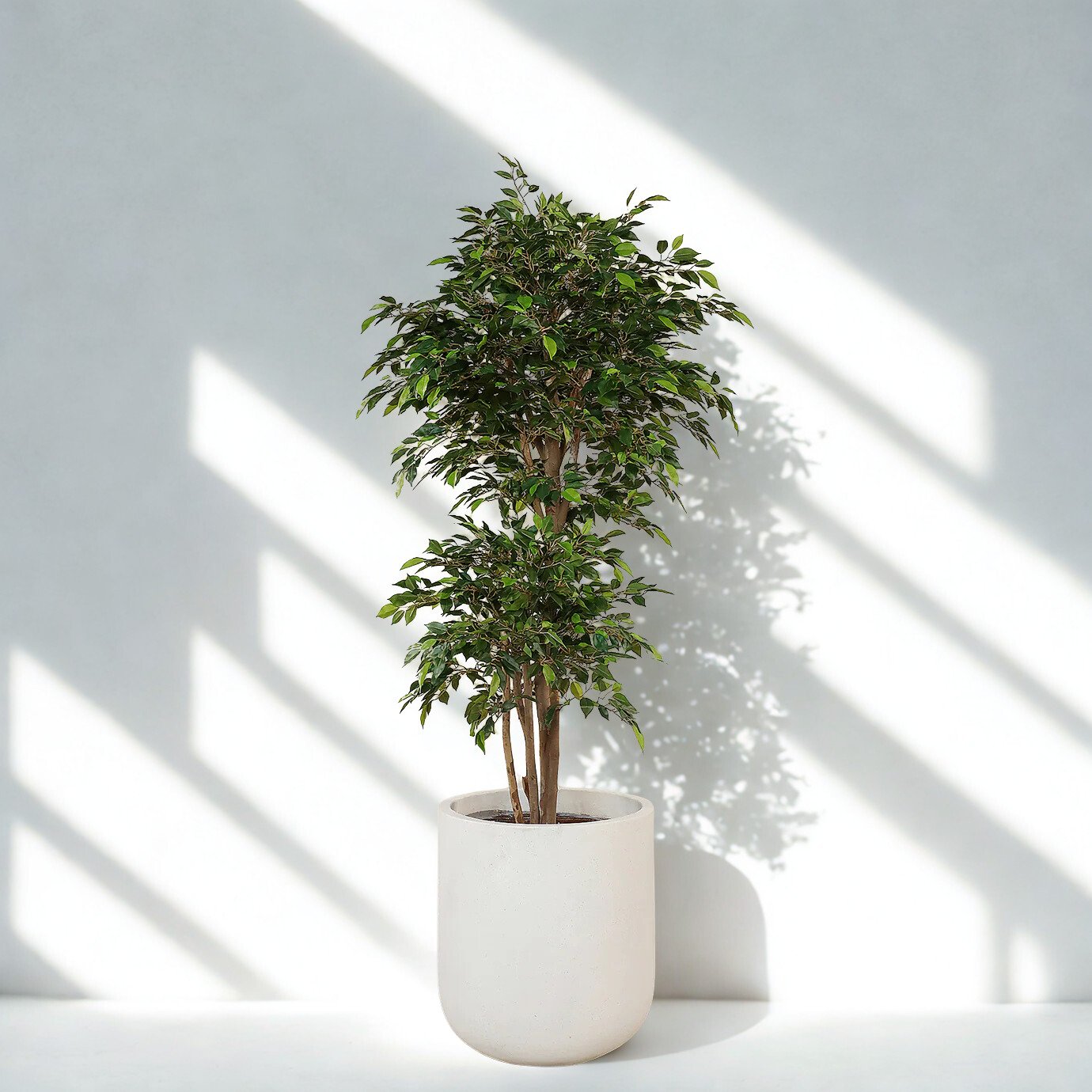 ARTIFICIAL MINI FICUS TREE 180CM