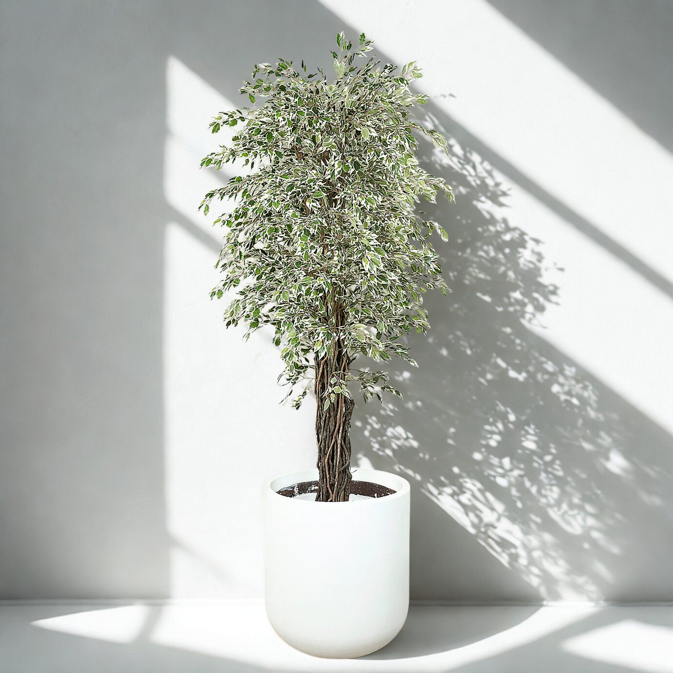 ARTIFICIAL MINI FICUS TREE 210CM
