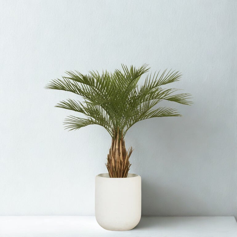 ARTIFICIAL PALM TREE 120CM