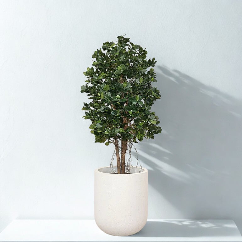 ARTIFICIAL PANDA FICUS TREE 120CM