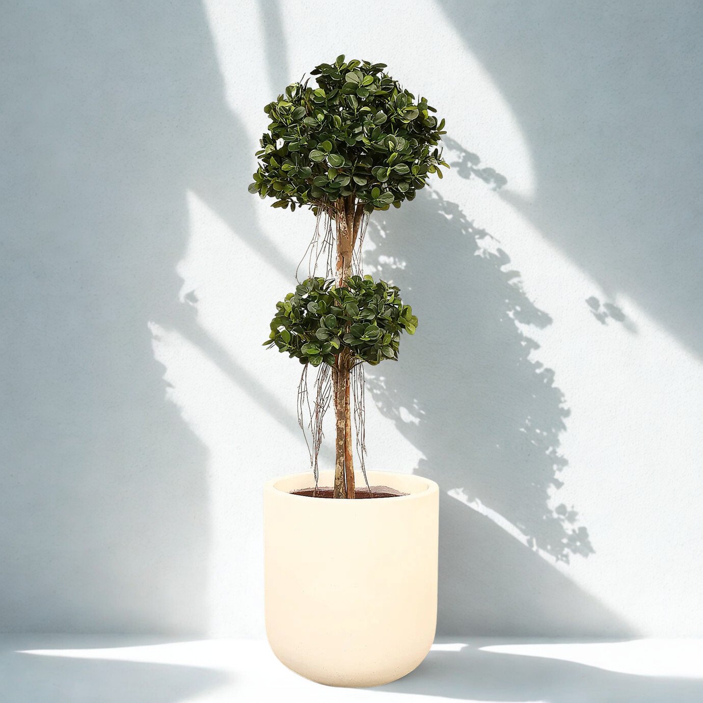ARTIFICIAL PANDA FICUS TREE 160CM