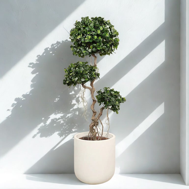 ARTIFICIAL PANDA FICUS TREE 180CM