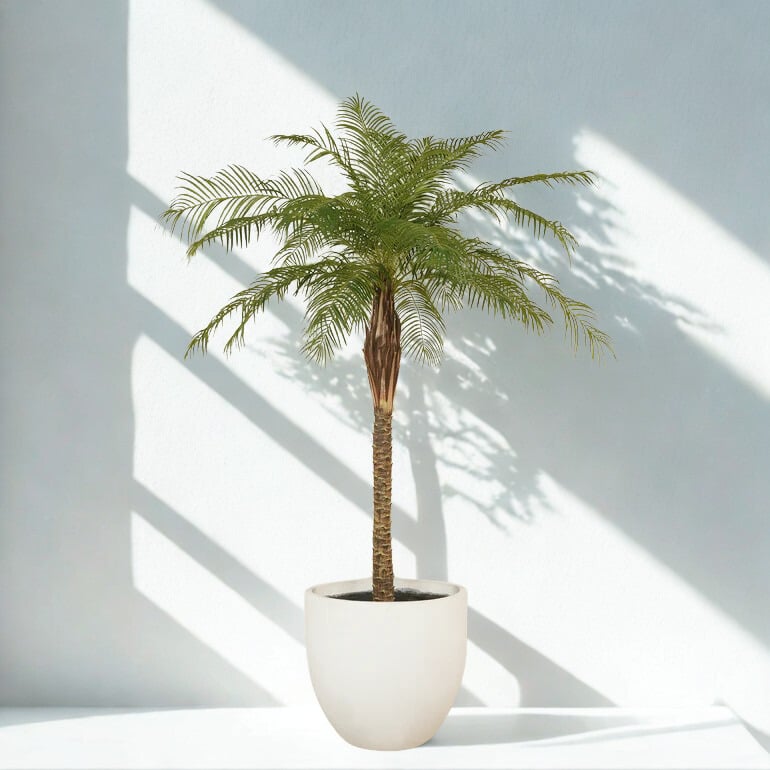 ARTIFICIAL PHOENIX PALM TREE 210CM