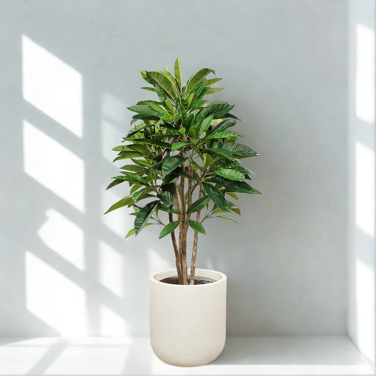 ARTIFICIAL PLUMERIA TREE 180CM