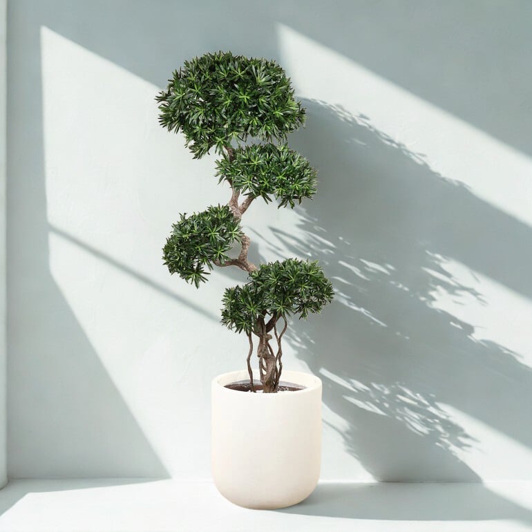 ARTIFICIAL PODOCARPUS TREE 180CM