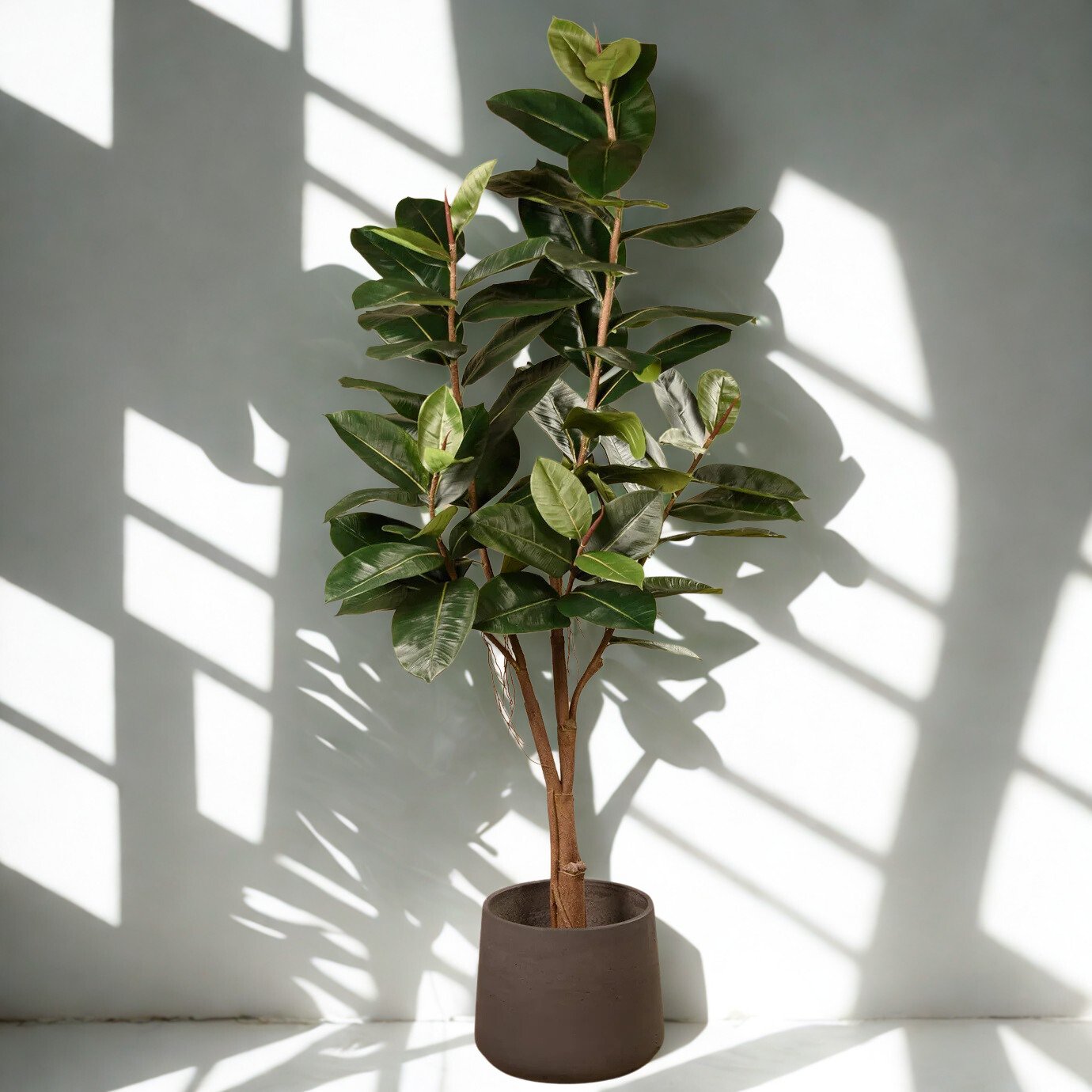 ARTIFICIAL RUBBER PLANT 180CM
