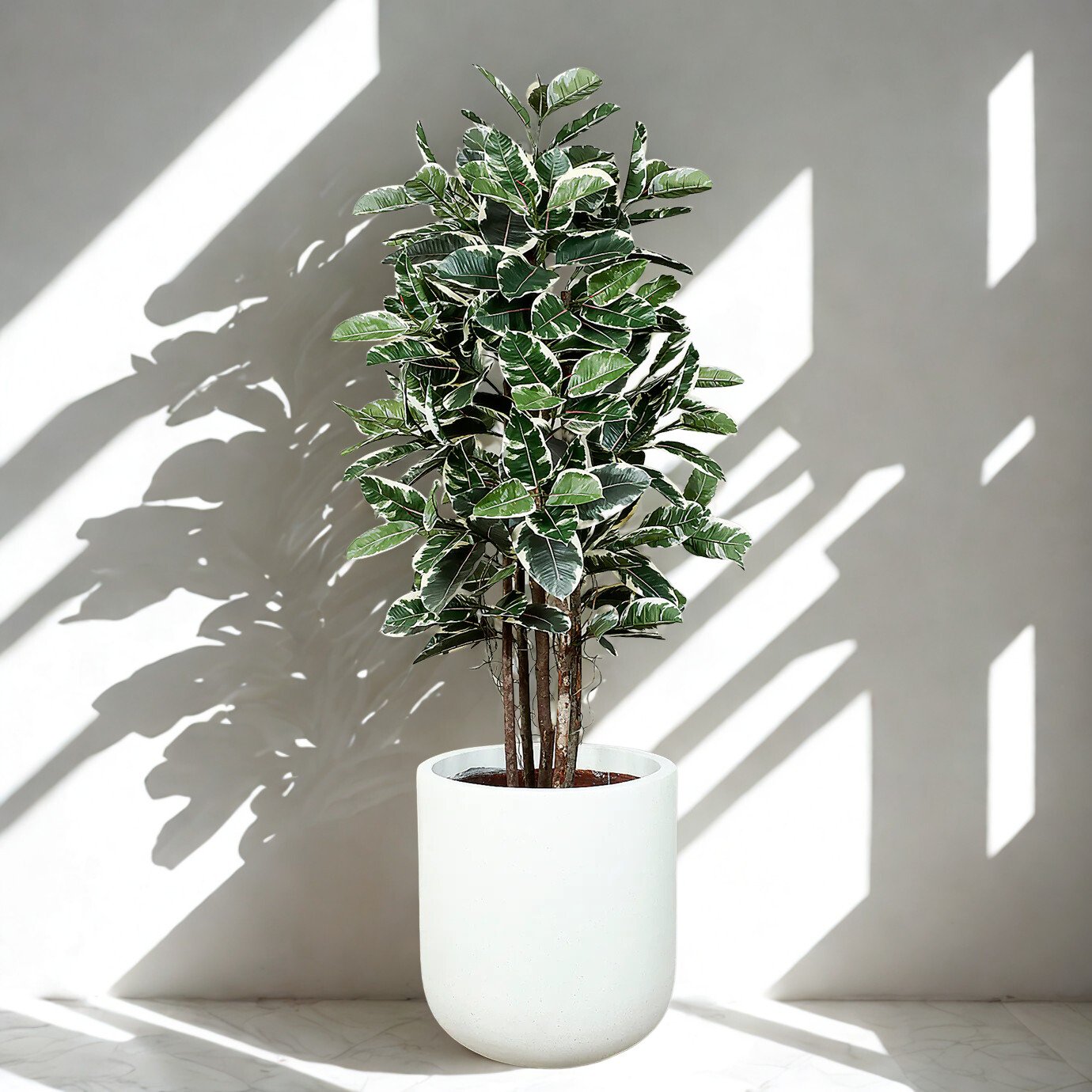 ARTIFICIAL RUBBER PLANT 180CM