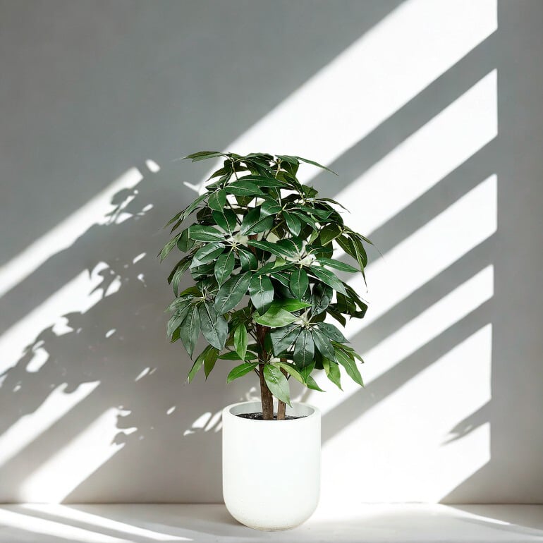 ARTIFICIAL SCHEFFLERA TREE 120CM