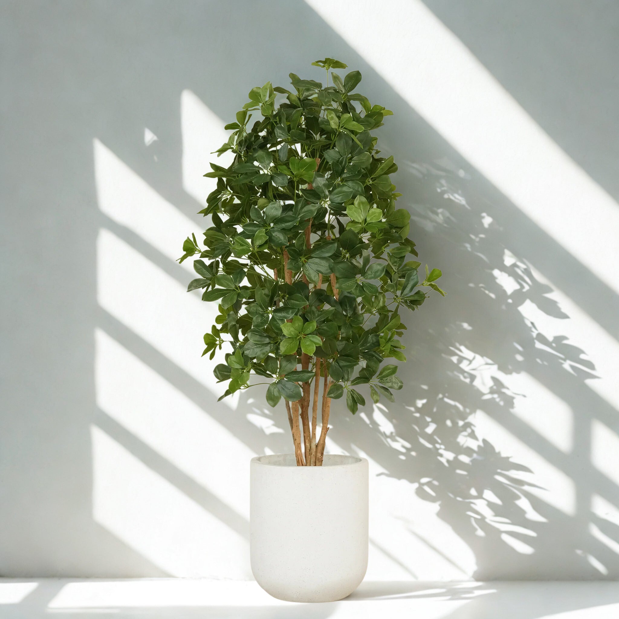 ARTIFICIAL SCHEFFLERA TREE 150CM