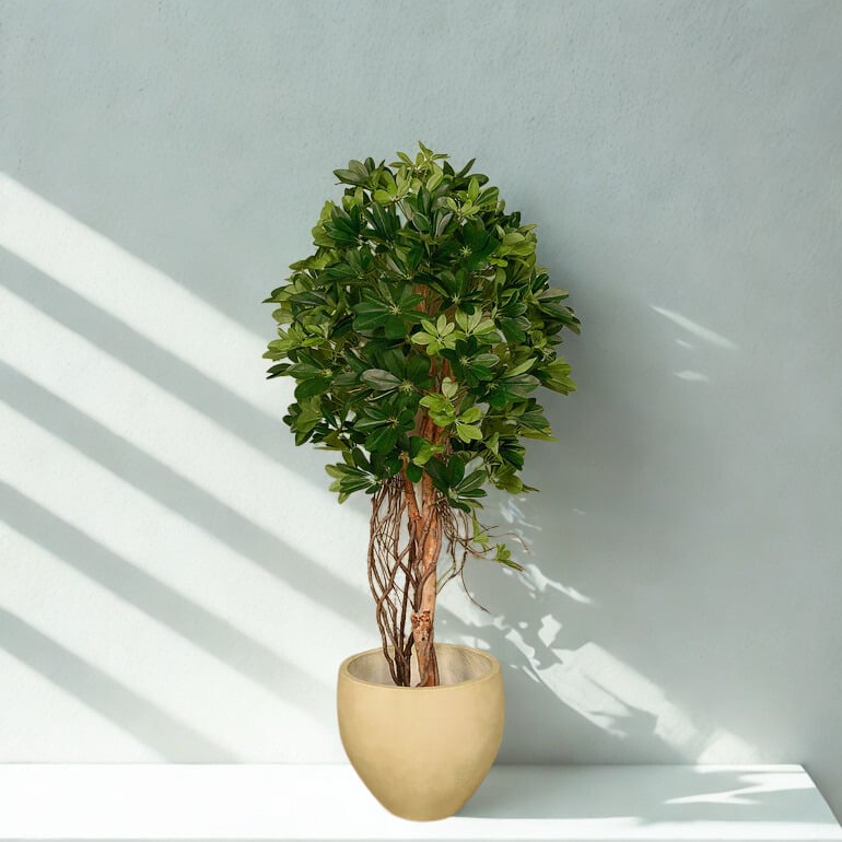 ARTIFICIAL SCHEFFLERA TREE 150CM