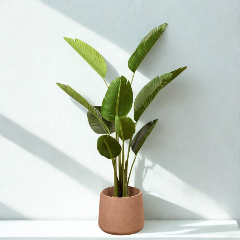 ARTIFICIAL STRELITZIA TREE 155CM