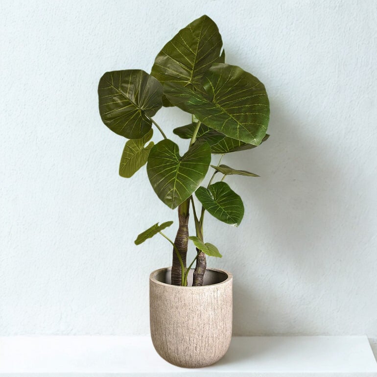ARTIFICIAL TARO TREE 180CM