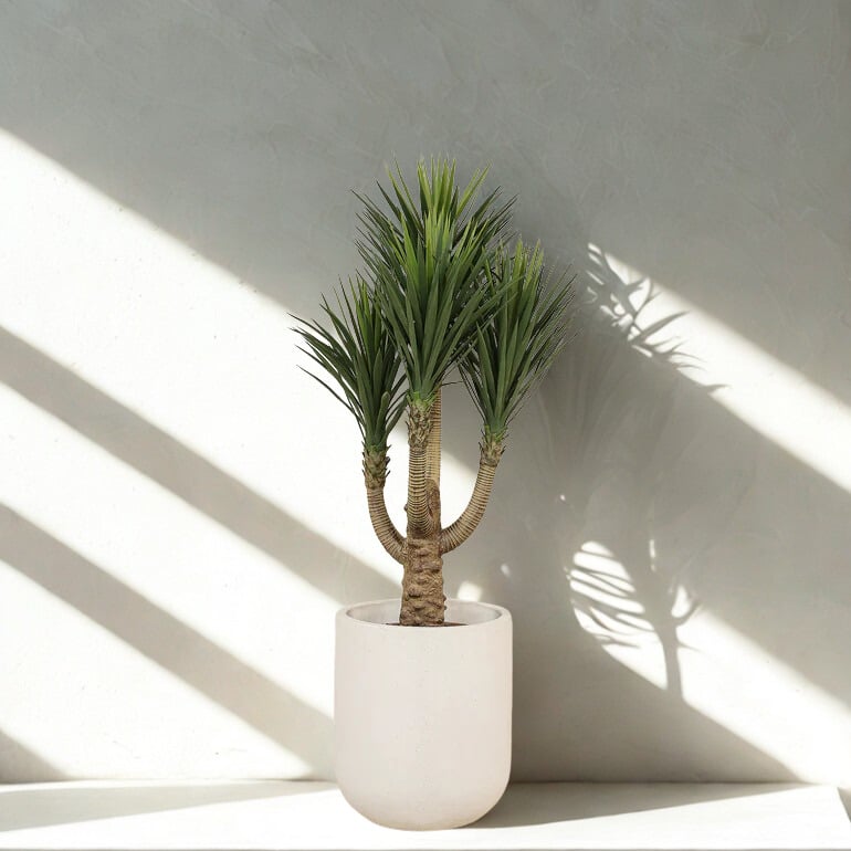 ARTIFICIAL YUCCA PLANT 120CM