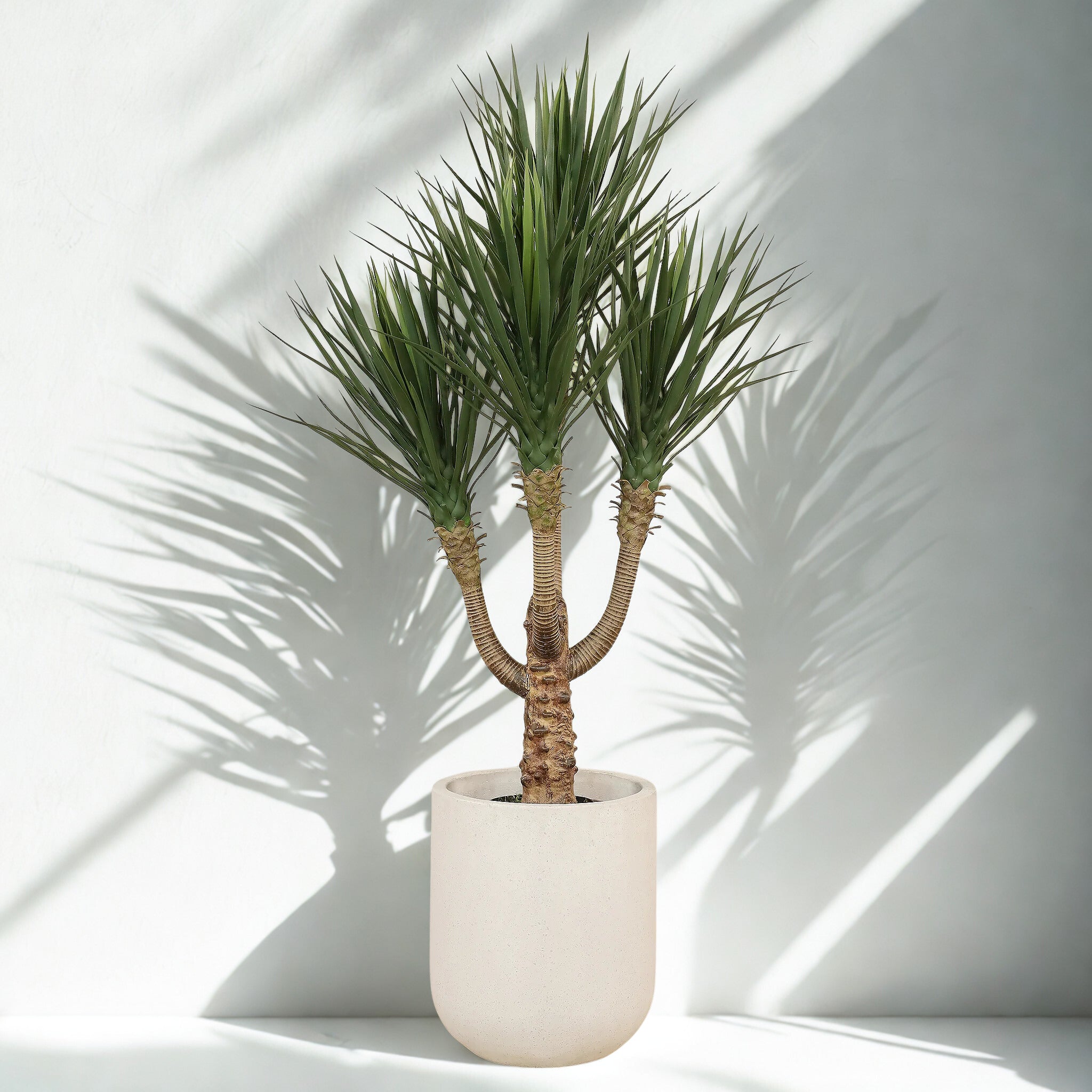 ARTIFICIAL YUCCA PLANT 150CM