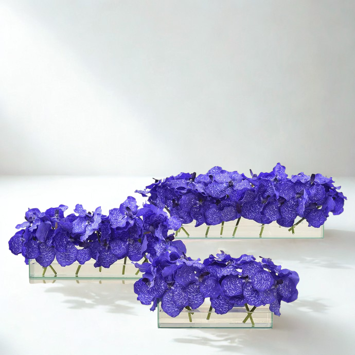 PURPLE Vanda Arrangement in Rectangular Glass
