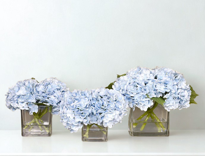BLUE Hydrangea in a square glass vase MEDIUM