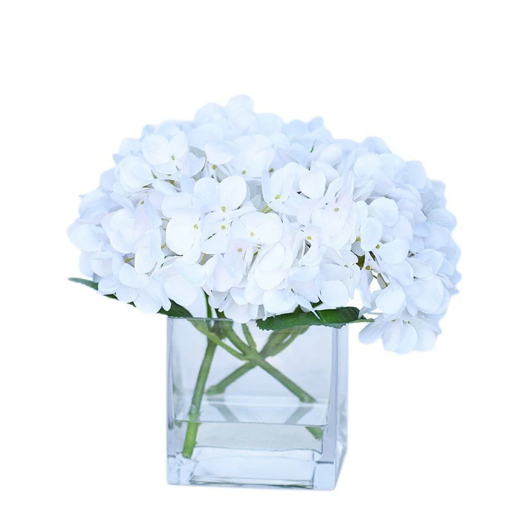 Hydrangea in a square glass vase