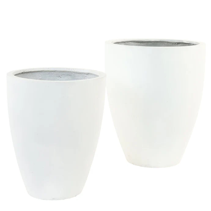 Large round ficonstone tree Large