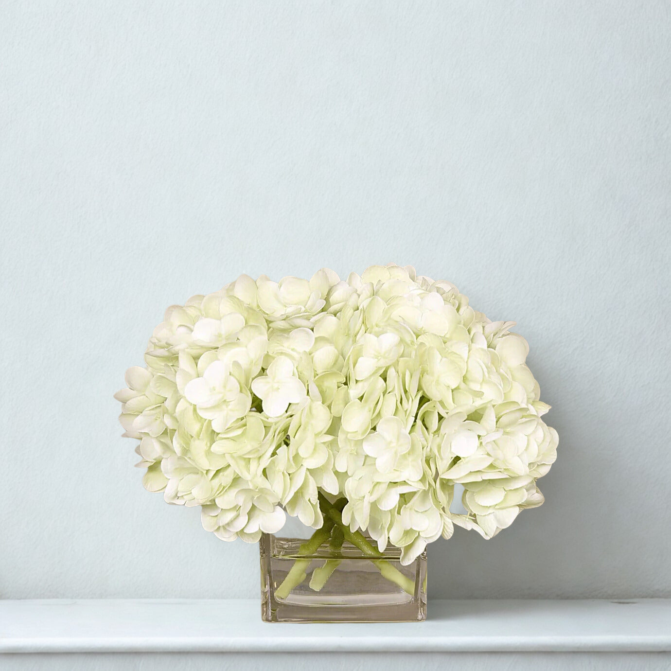 GREEN Hydrangea in a square glass vase SMALL