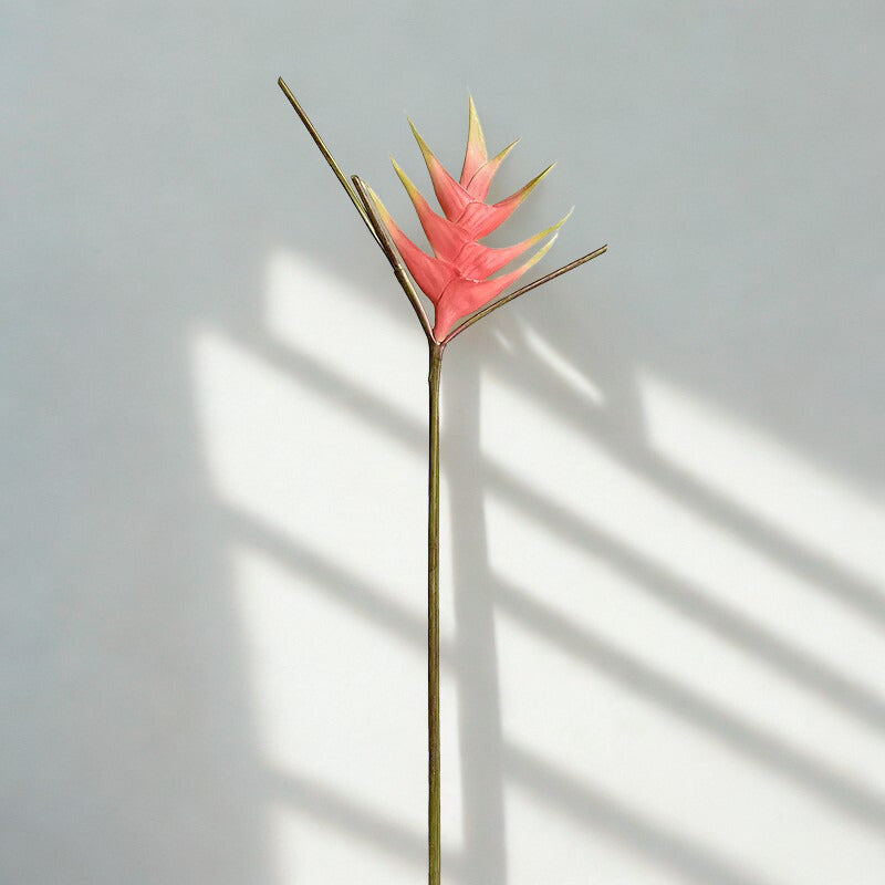 Heliconia Stem