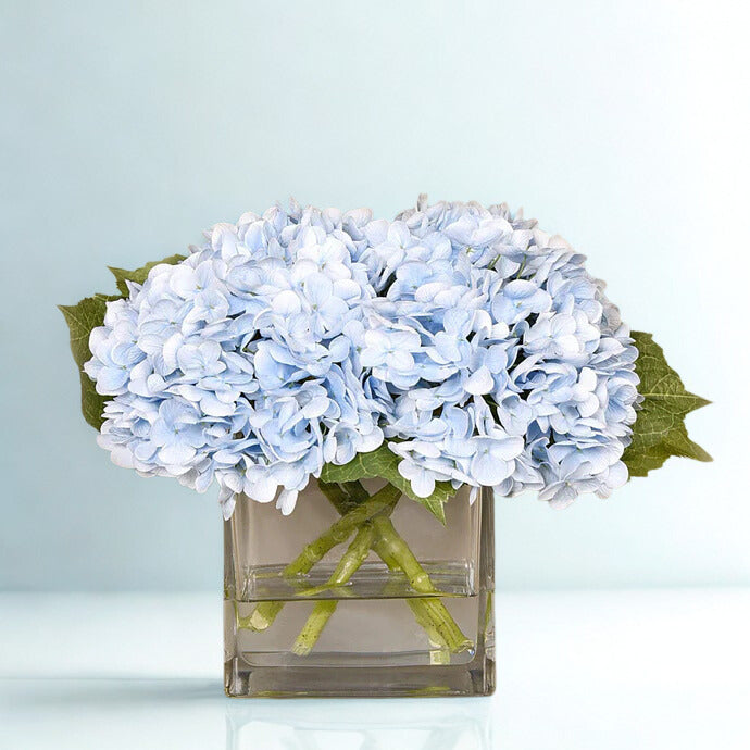 BLUE Hydrangea in a square glass vase LARGE
