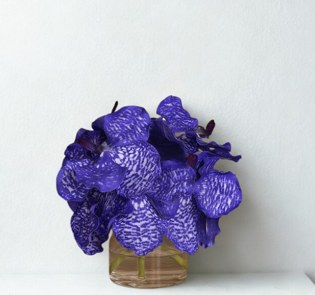 Purple Vanda Cylinder Glass