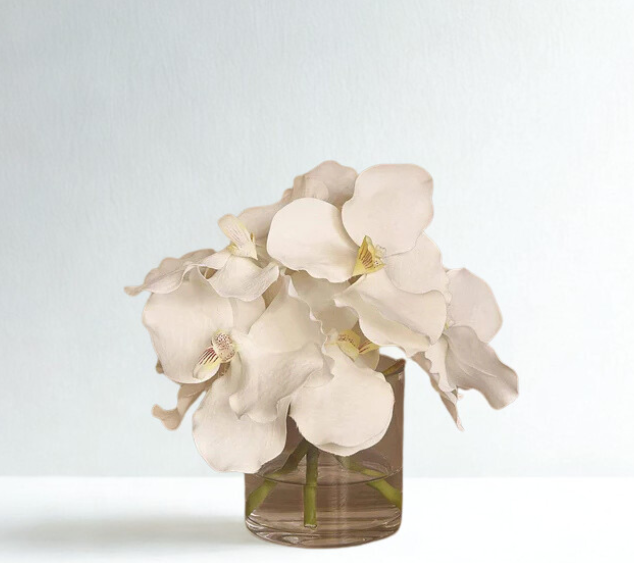 WHITE Vanda Arrangement in Glass Vase