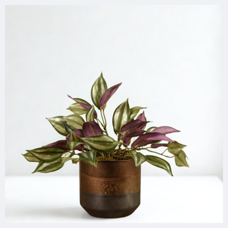 Artificial Potted Dark Vanilla Leaf Plant  - Small