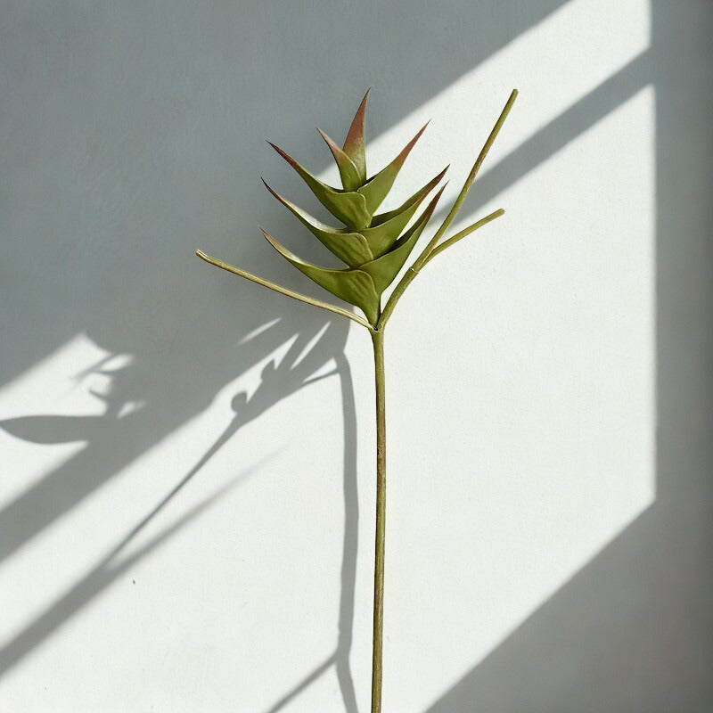 Heliconia Green  Stem