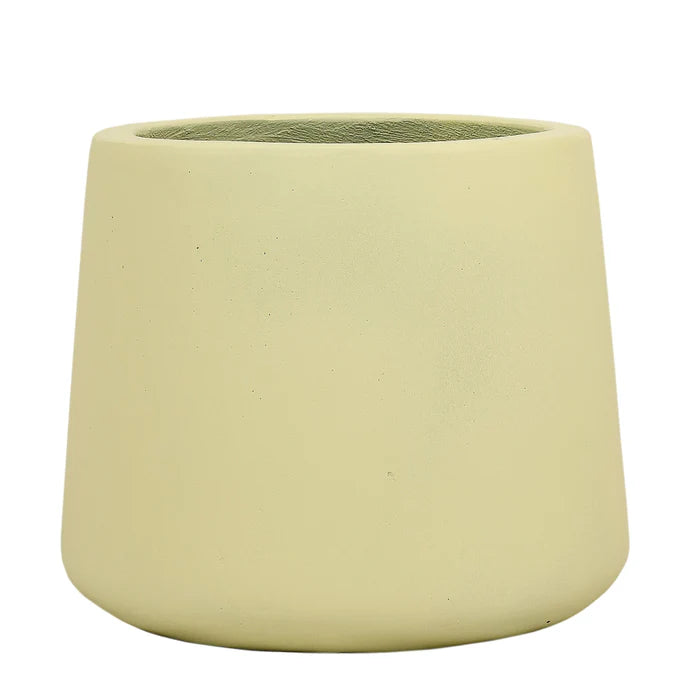 Large Round Cement Tree Pot